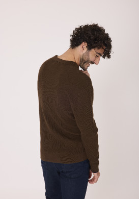 Pull col polo 100% coton marron Homme Pull col polo 100% coton marron Homme