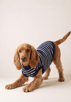 Pull chien marinière bleu