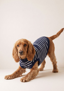 Pull chien marinière bleu Pull chien marinière bleu