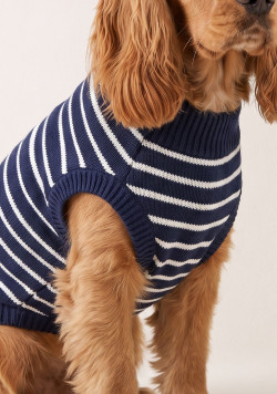 Pull chien marinière bleu