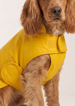 Ciré pour chien jaune