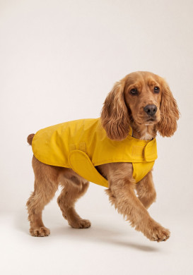 Ciré pour chien jaune Ciré pour chien jaune