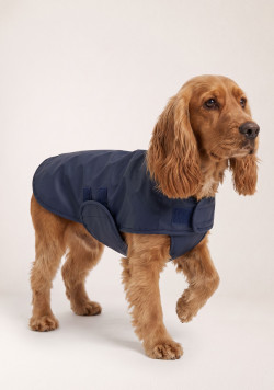 Ciré pour chien bleu marine