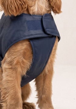 Ciré pour chien bleu marine