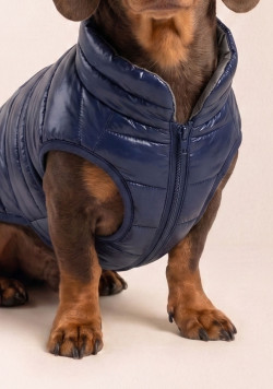 Doudoune chien bleu marine