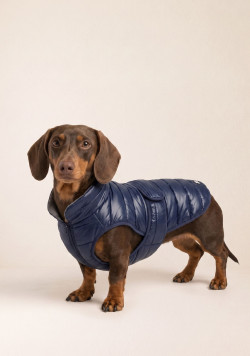 Doudoune chien bleu marine