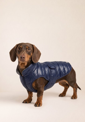 Doudoune chien bleu marine Doudoune chien bleu marine