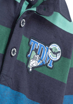 Polo manches longues rayé bleu vert Garçon