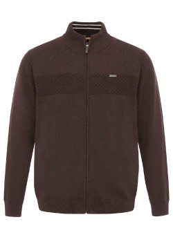 Gilet zippé marron Homme