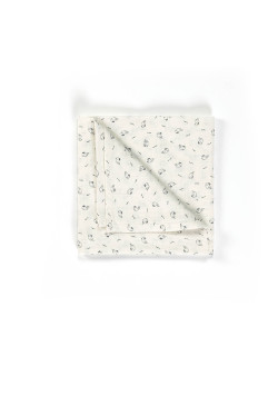 Lot de 2 langes imprimé bleu Bébé