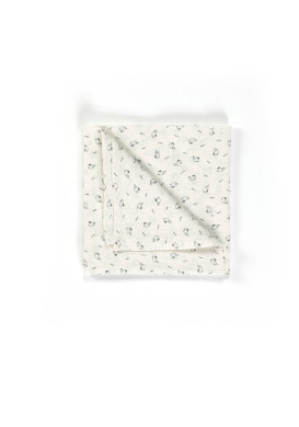 Lot de 2 langes imprimé bleu Bébé Lot de 2 langes imprimé bleu Bébé