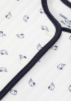 Veste Bébé boutons pression