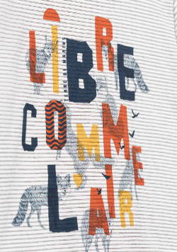 T-shirt imprimé manches longues rayé marron Garçon