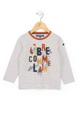 T-shirt imprimé manches longues rayé marron Garçon